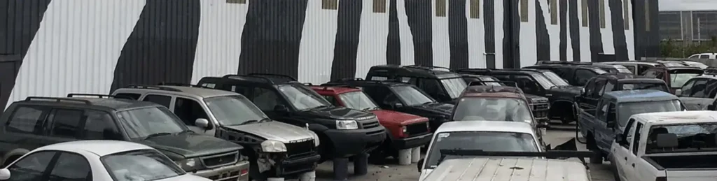 Zebra U-Pick Auto dismantling business