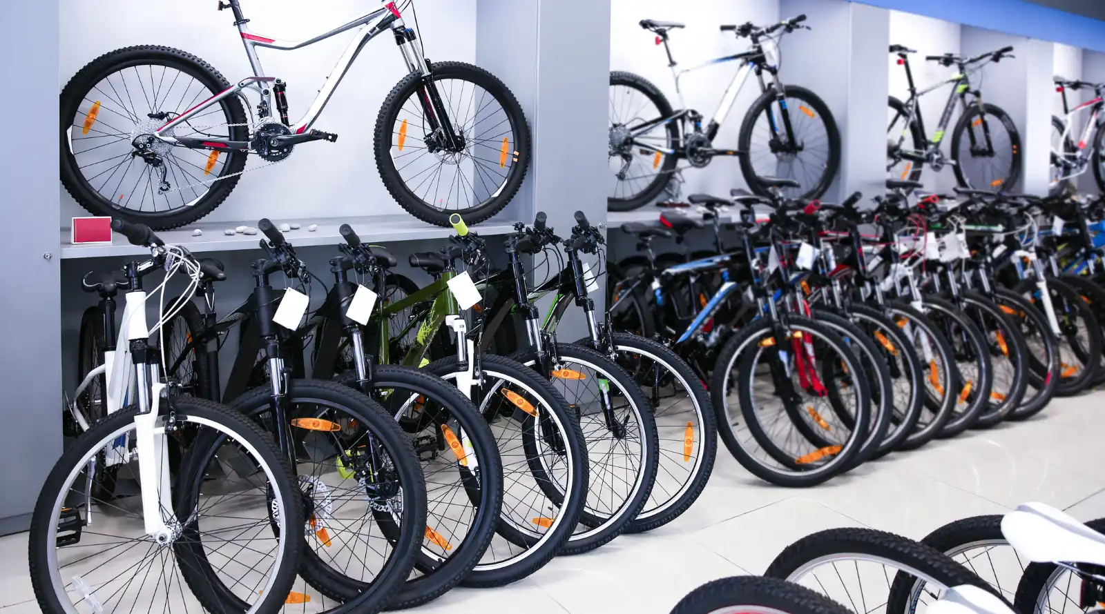 Best Bike Shops in Auckland