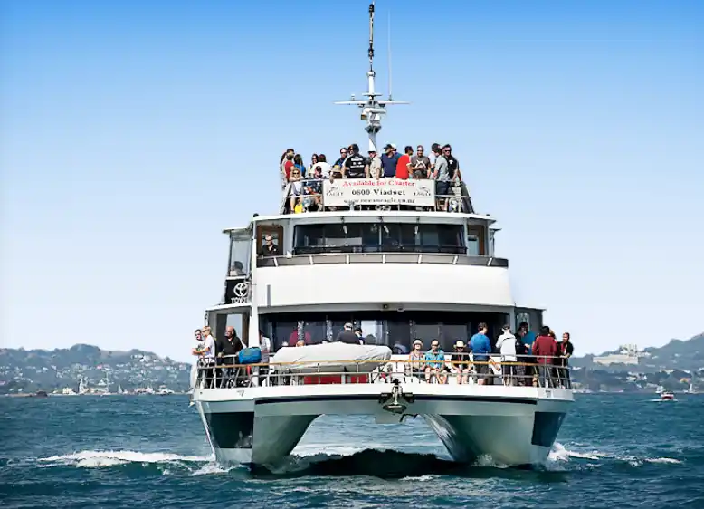 Ocean Eagle Party Boat Hire in Auckland