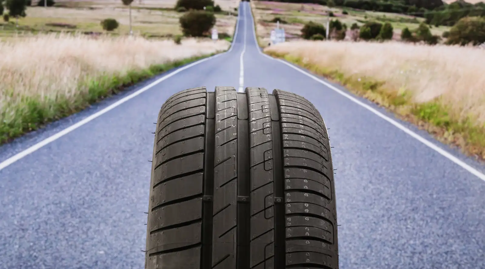 Best Tyre Shops in New Plymouth